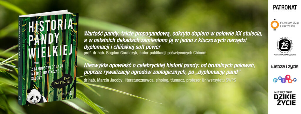 Na grafice: okładka książki "Historia pandy wielkiej, czyli z bambusowego lasu na dyplomatyczne salony”. Tekst: Mamy świetną książkę o niezwykle charyzmatycznym zwierzęciu” – dr Andrzej G. KRUSZEWICZ, dyrektor Warszawskiego ZOO