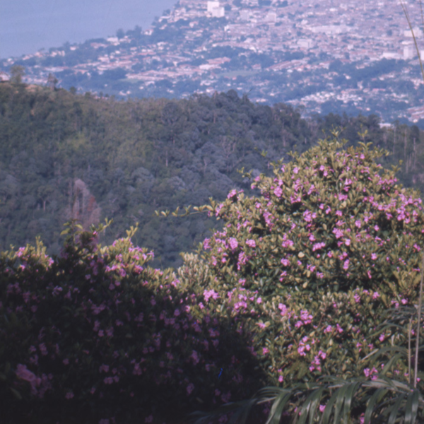 Obraz wpisu - zdjęcie