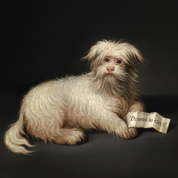 Obraz wydarzenia - „DZIWNA to jest RZECZ!” | ogólnopolska konferencja naukowa